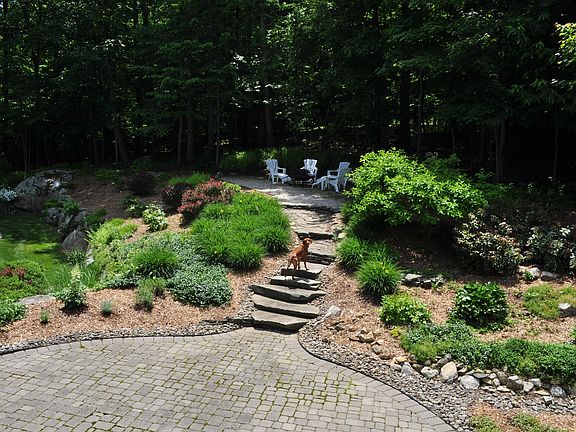 Back yard/fire pit area