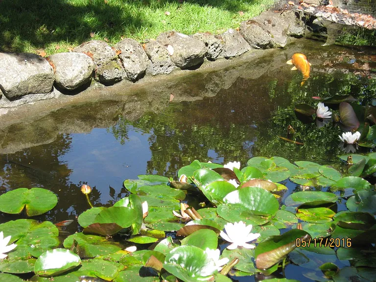 koi pond with benches to sit