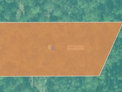 County Road 315, Interlachen, FL, 32148