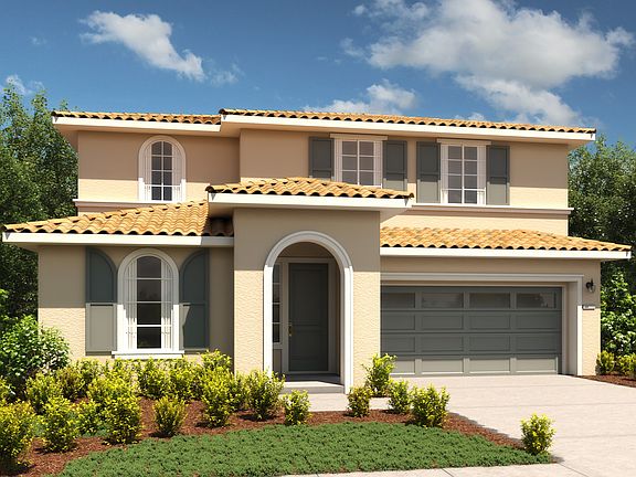 Elderberry Italianate