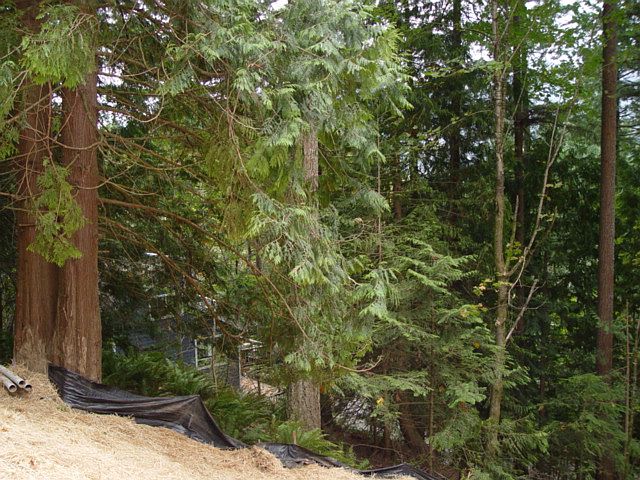 2nd image of 75 Cascade Ln