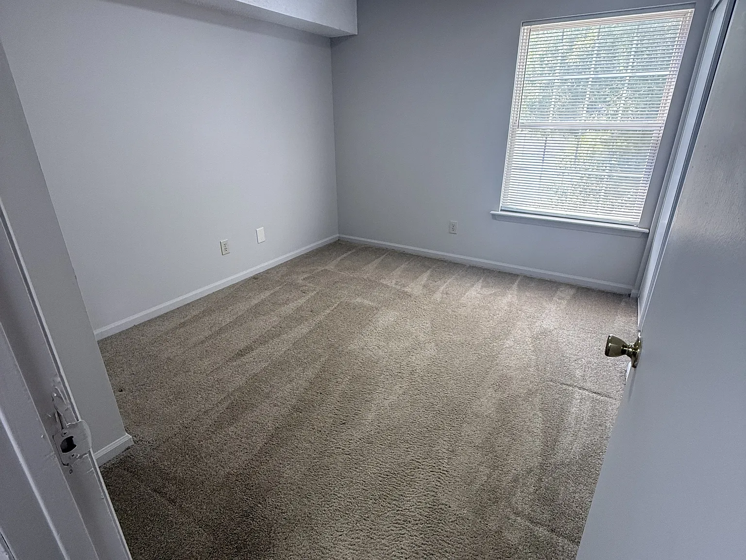 1703 Pineland Avenue - D — Photo 2