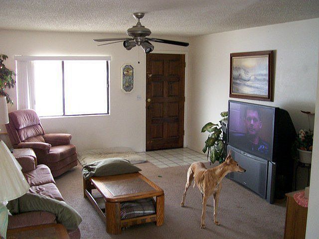 2nd image of 2355 Malahini Dr