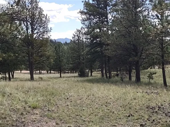 187 Arrowhead Dr, Florissant, CO 80816