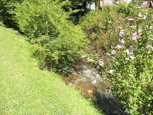 2nd image of 2247 Wayehutta Rd