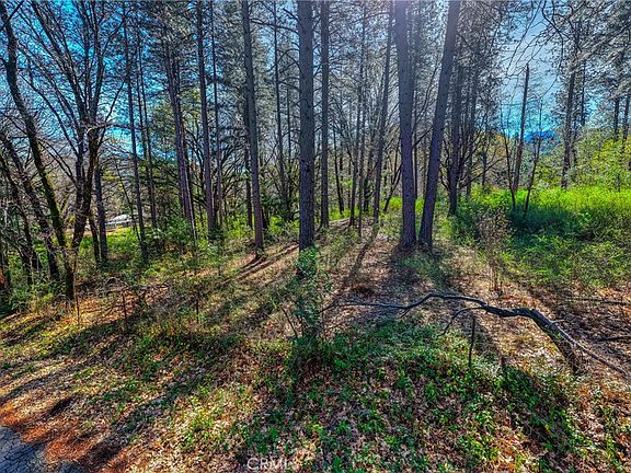 3rd image of 15347 Western Mine Rd