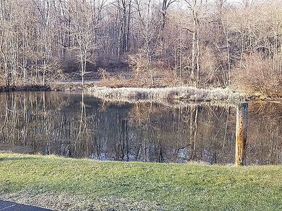 1/3 acre pond