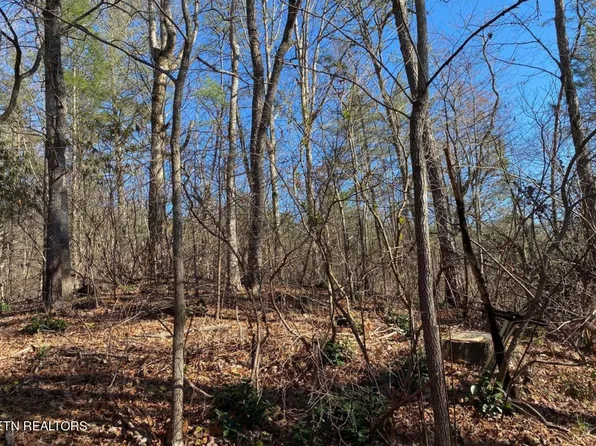 0 Catons Grove Rd, Cosby, TN 37722
