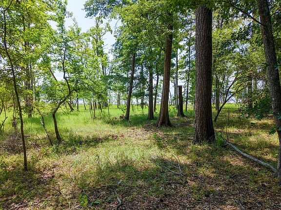 5th image of Pid 14756 Tall Pines Dr