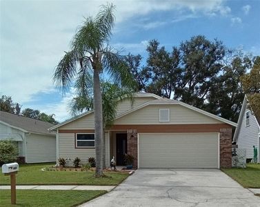11204 Elmfield Dr, Tampa, FL, 33625