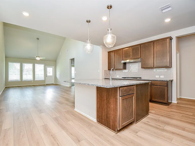 231 Bright Valley Way — Photo 6