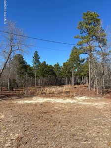 176 Lonnie Lane, Rockingham, NC, 28379