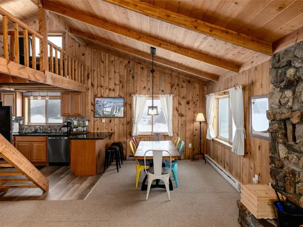 1251 County Road 6, Alma, CO 80420