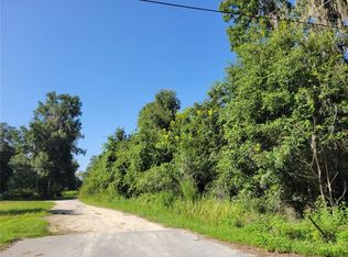 SE 151st St LOT 1, Summerfield, FL 34491