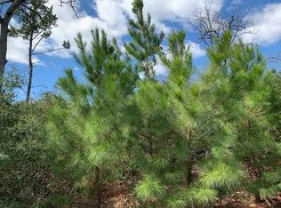 267 Winfield Thicket Rd, Bastrop, TX 78602