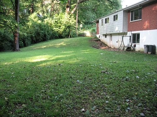 Backyard View