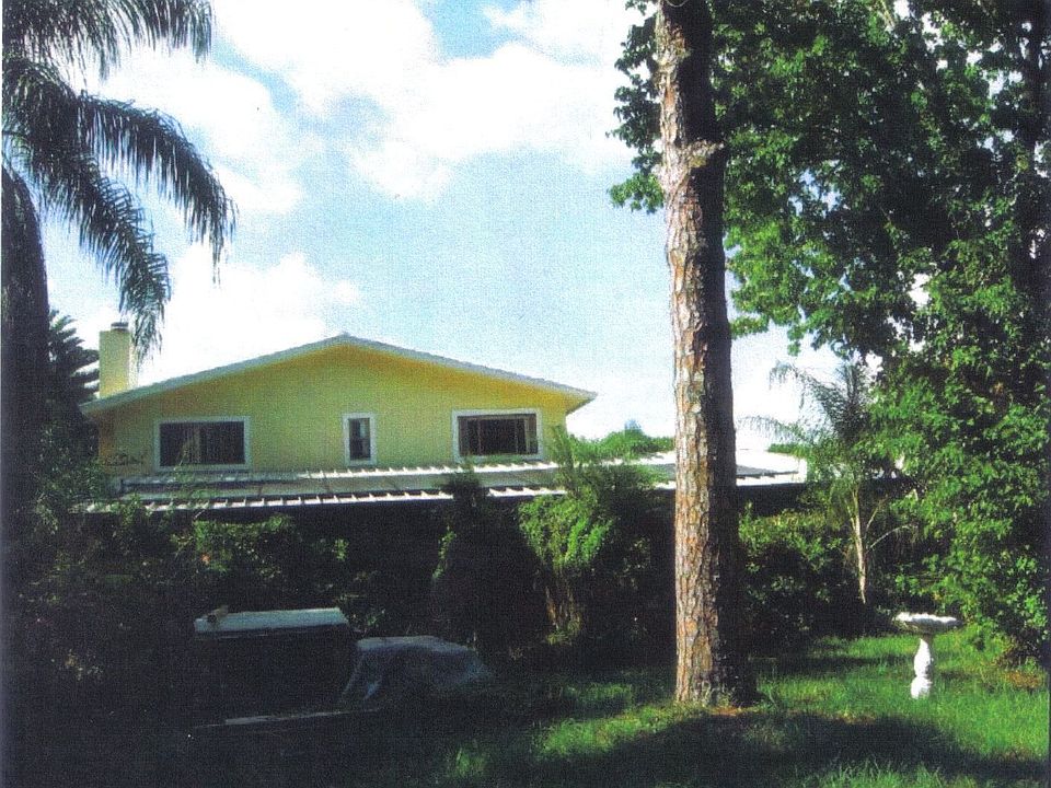 Backyard