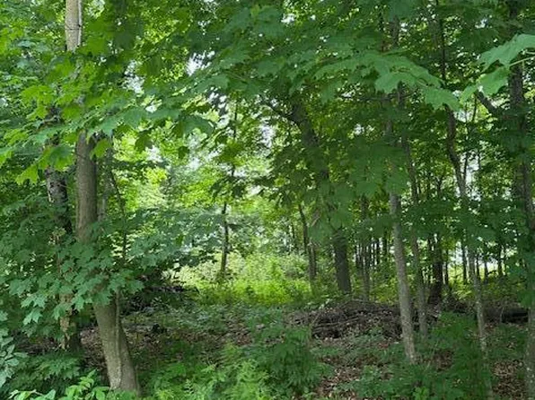 170th Ave, Centuria, WI 54824