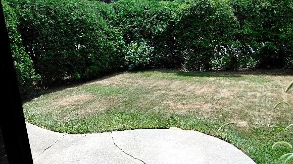 2727 Lakeshore Dr — Photo 3