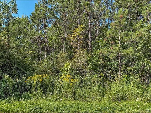 3rd image of Hayloft Trl Lot 19