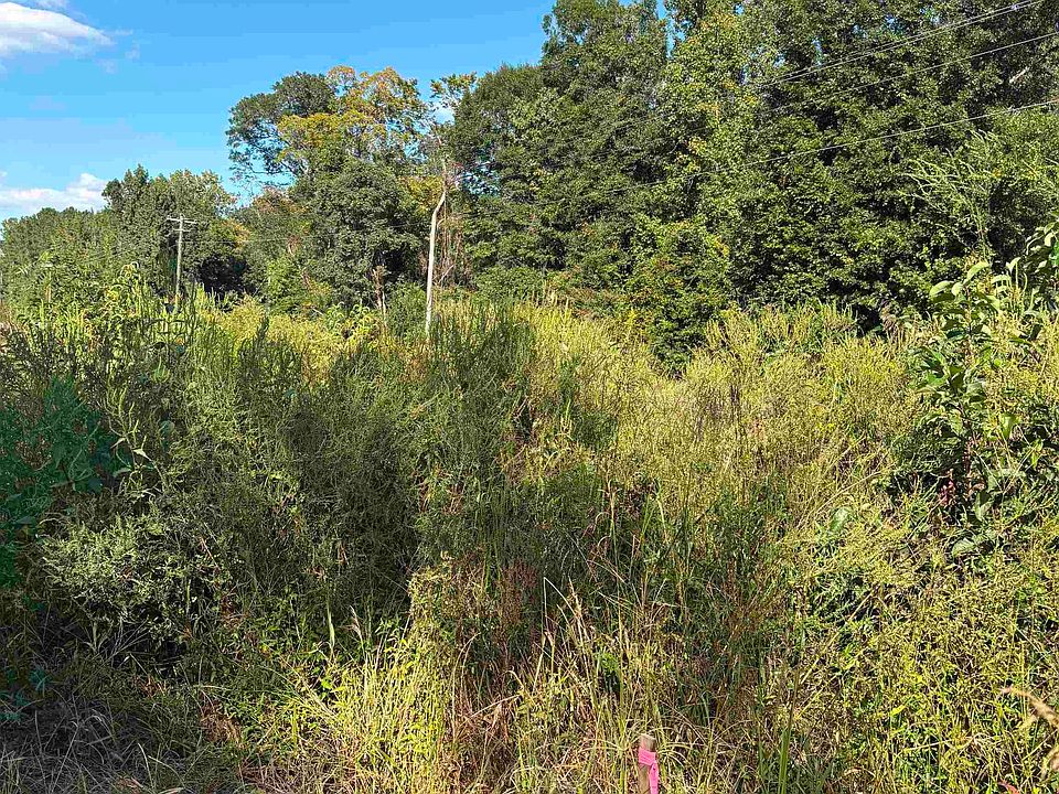 2nd image of TBD Red Bluff Rd. Lot1