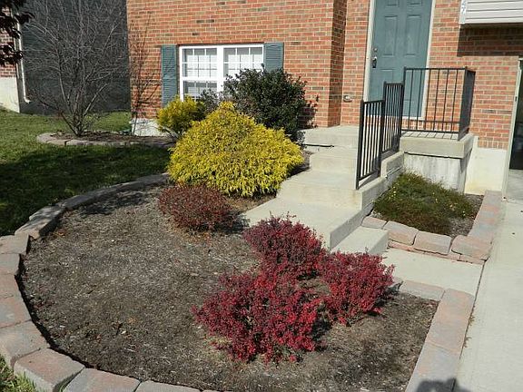 Front Landscaping