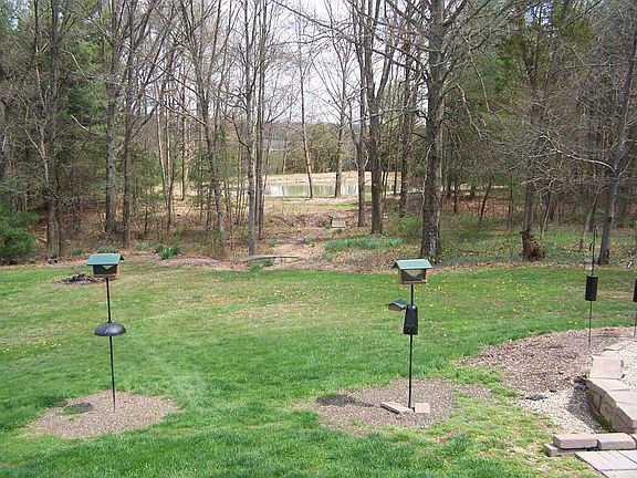 Rear of home and pond through clearing of trees