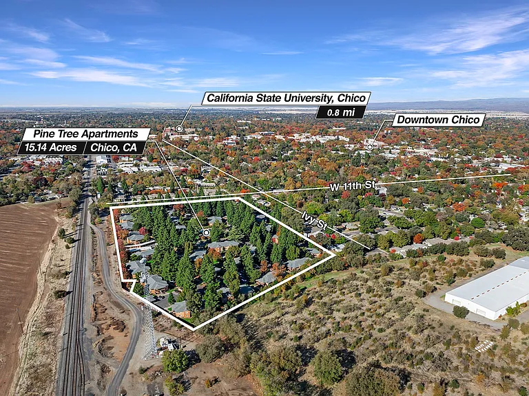 Pine Tree Apartments — Photo 6
