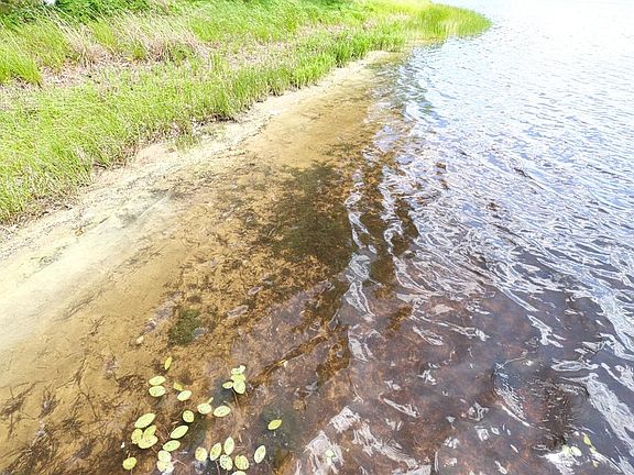 4th image of Chickaree Lake Rd Lot 4