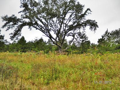 2003 Gloster Ave, Sneads, FL, 32460