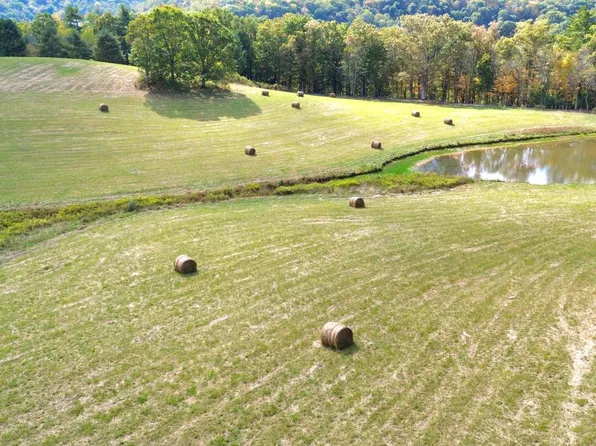 125F The Pines Dr, Marlinton, WV 24954