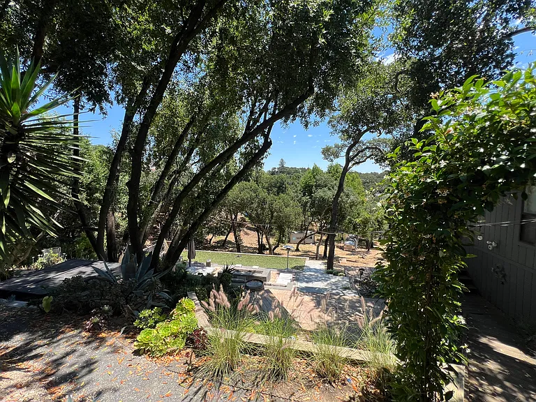 Side yard