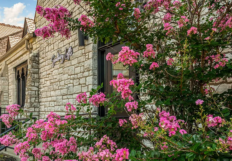 4301 Olive St #209 — Photo 4