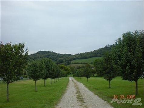 Beautiful Bradford Pears trees along driveway to enjoy