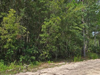 Maple Dr, Ludowici, GA, 31316