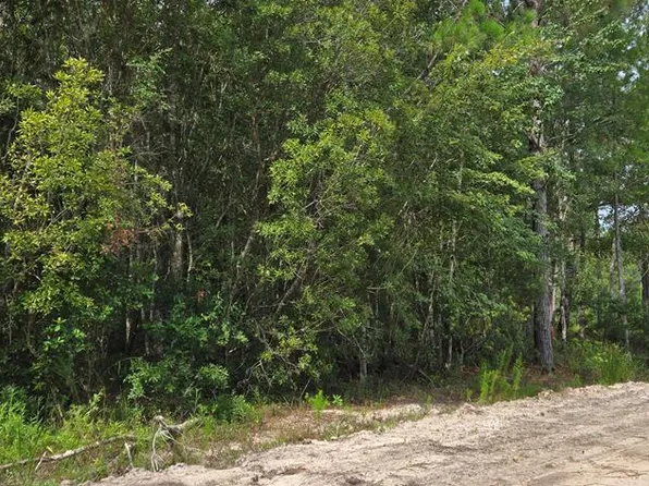 Maple Dr, Ludowici, GA 31316