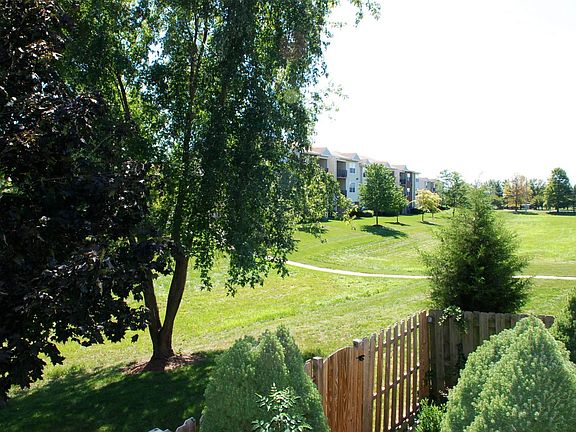 Open Space behind home