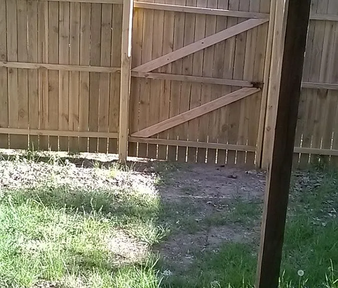 Fenced backyard