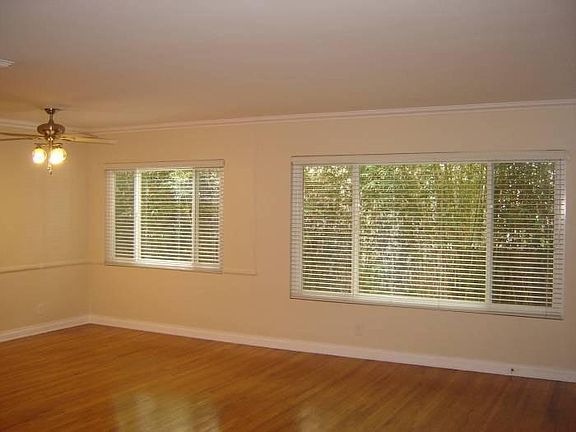 Living Room Windows