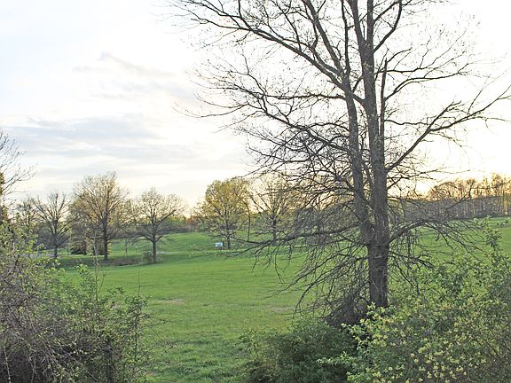 View from rear deck