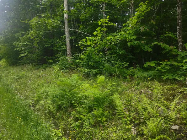 TBD Stream Road Road, Vienna, ME 04360