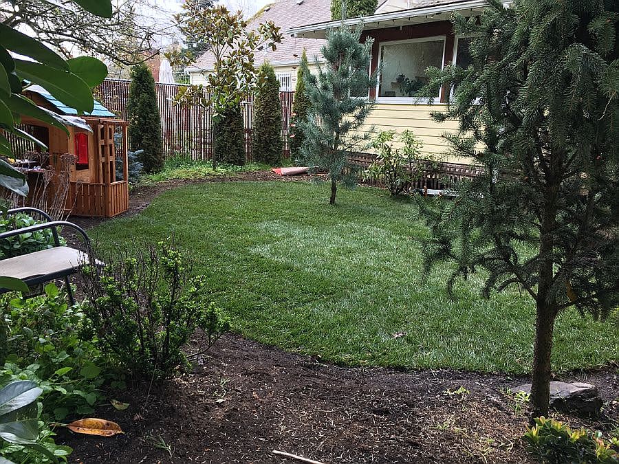 Landscaped Backyard