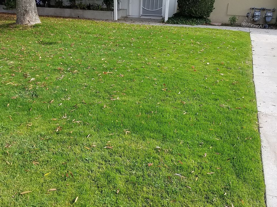 front lawn and front of condo