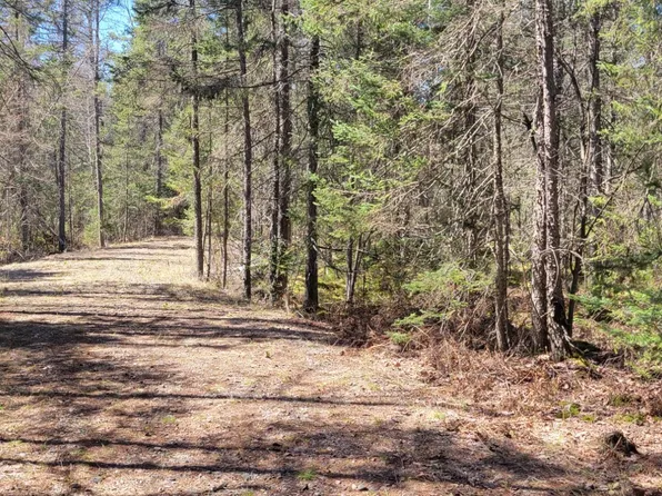 5350 Pineaire Dr, Rhinelander, WI 54501