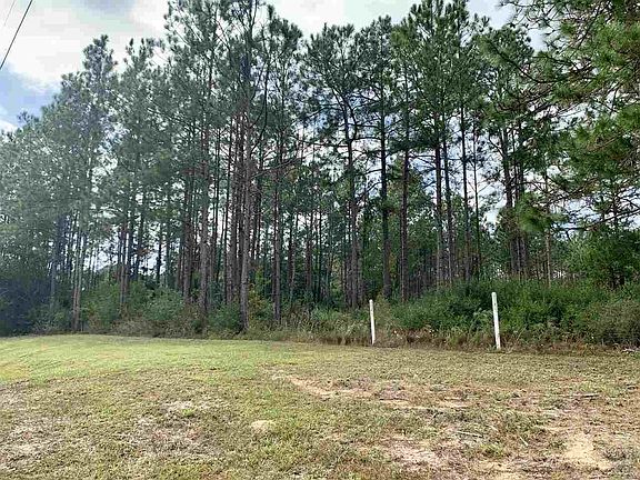 4th image of 5783 Whispering Woods Dr