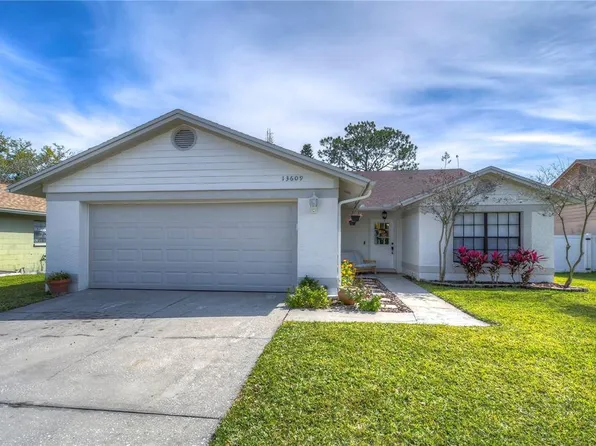 13609 Fawn Ridge Blvd, Tampa, FL 33626