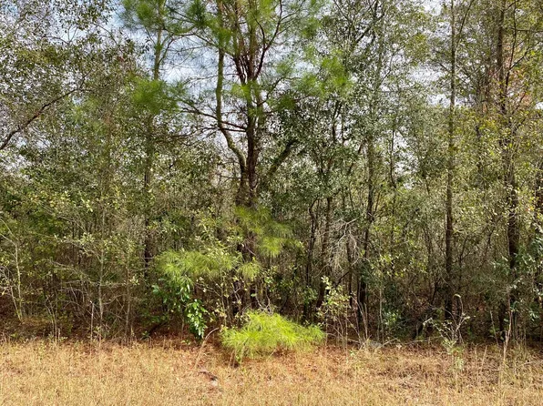 LOT 16 NE 116th Ln, Jasper, FL 32052