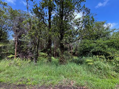Wao Nani Rd Lot 6-351, Volcano, HI, 96785