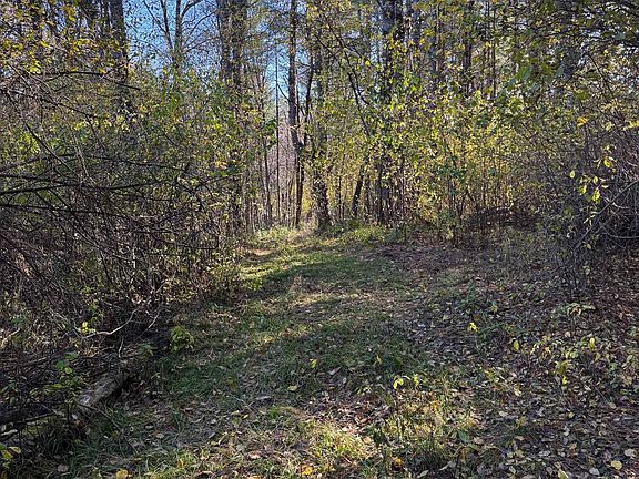 2nd image of 125 Hillside Avenue