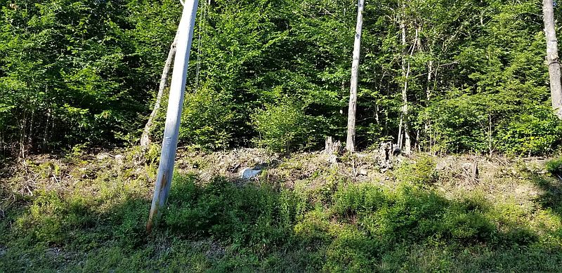 3rd image of 0 DYKEN POND Road